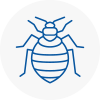 Bed Bug Extermination In N