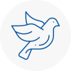 Bird Prevention N