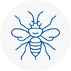 N Hornet Nest Removals