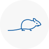 Mice Exterminators In N