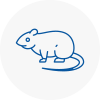 Rat Control N