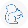 N Rodent Removals