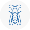 N Wasp Nest Removal